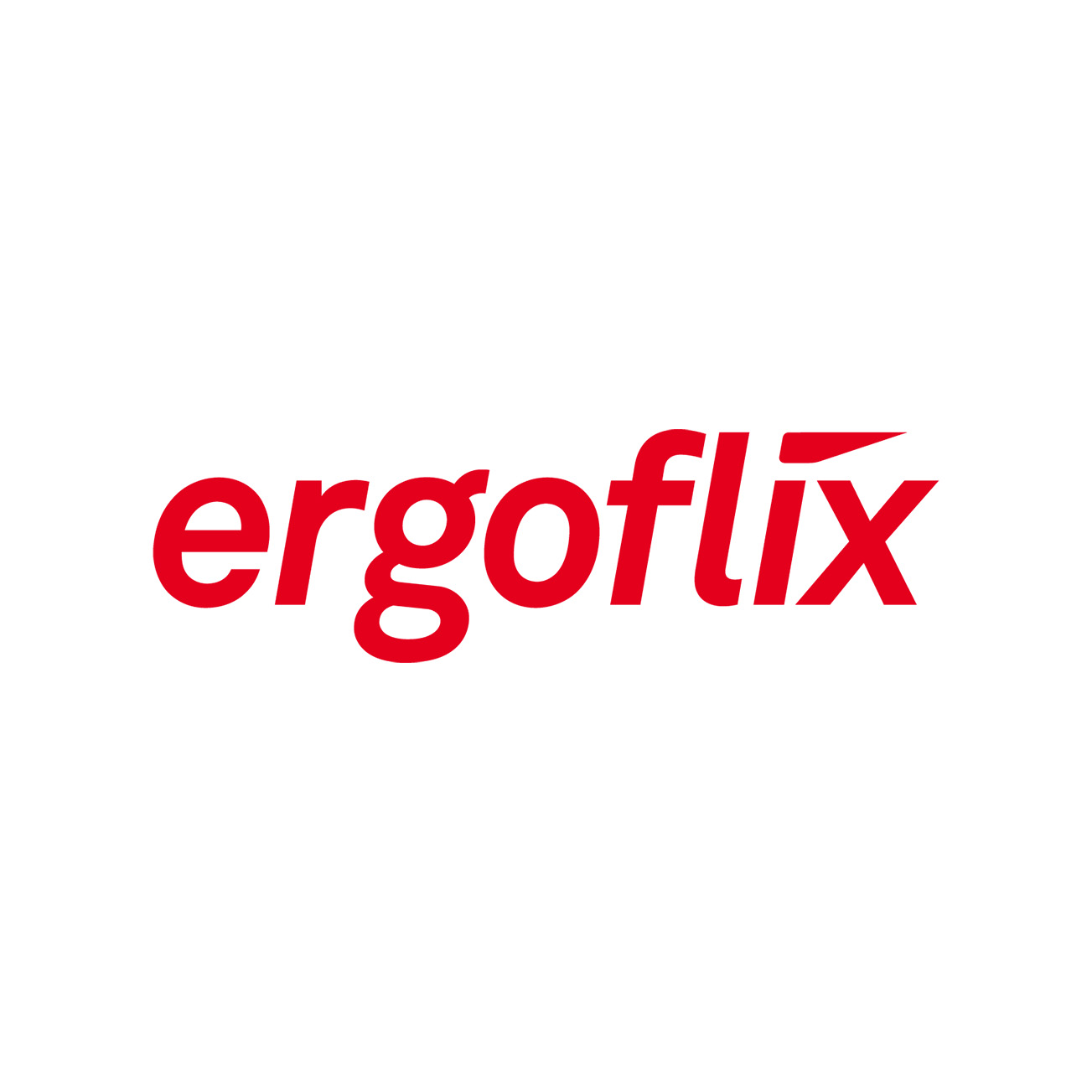 ergoflix Logo Über Uns