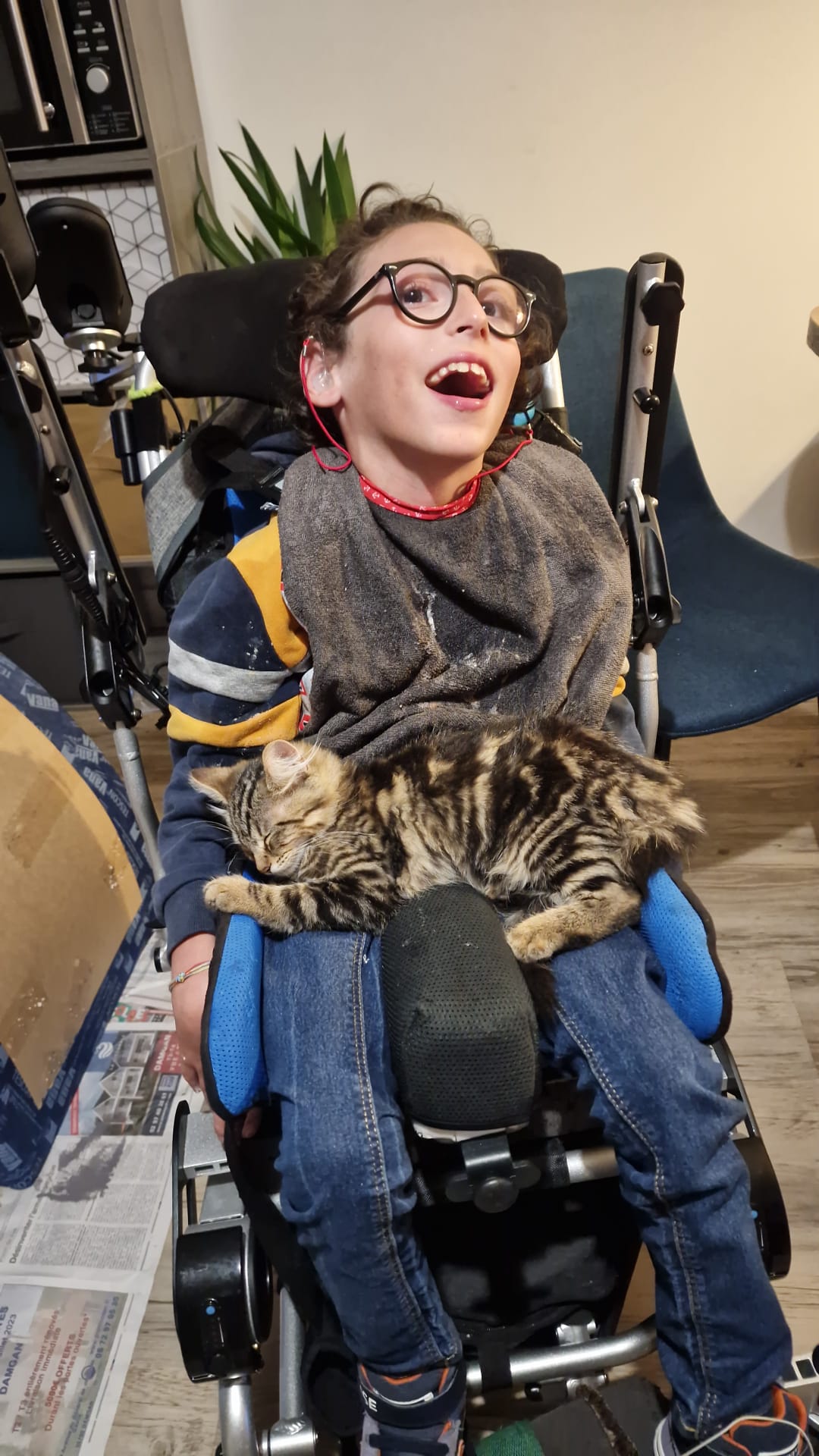 Celsino fauteuil roulant électrique pliant ergoflix sourire chat dormant